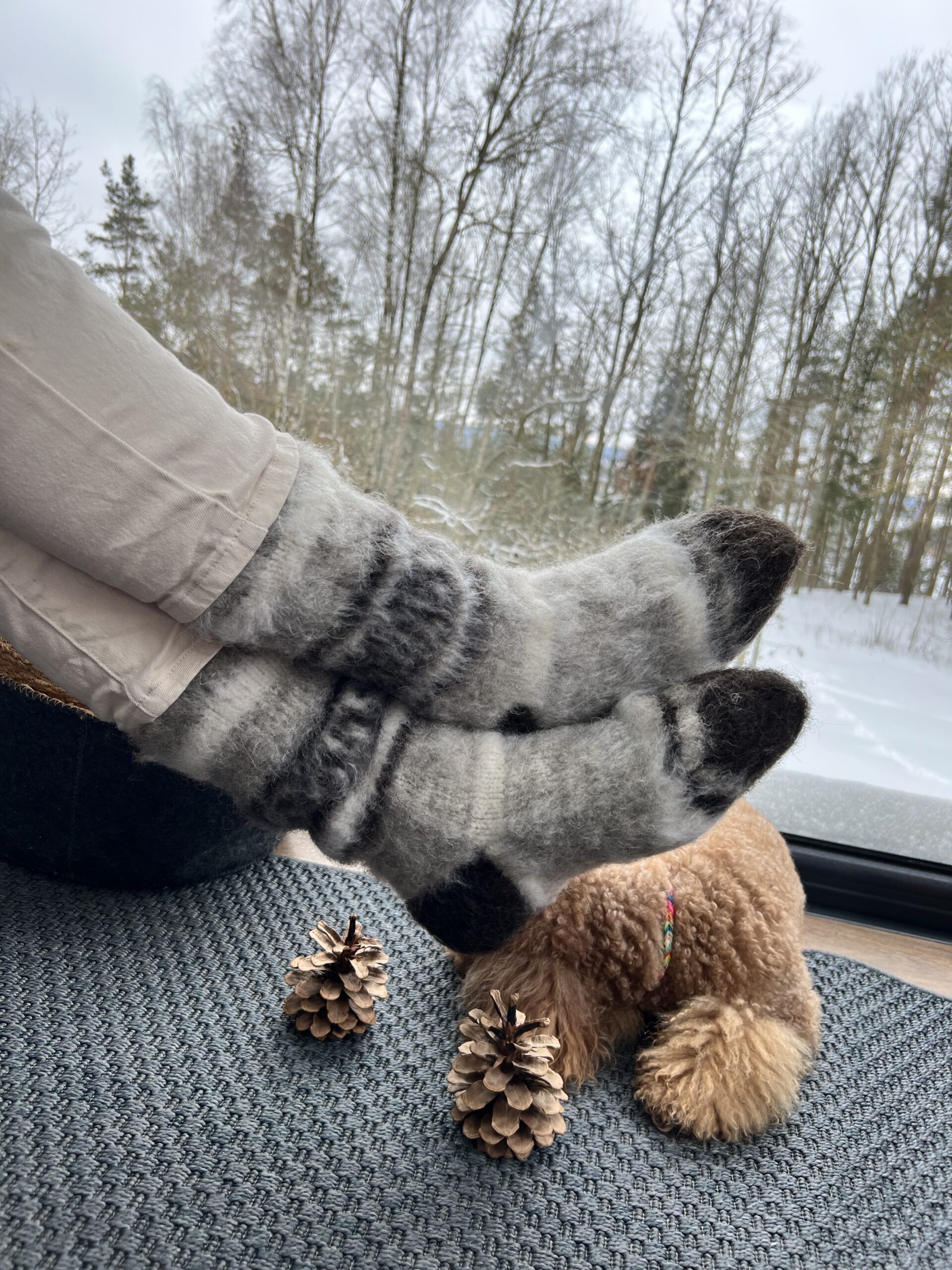 Looduslikud 100% soojad koera villased sokid