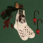 Meriinovillased sokid SIIL