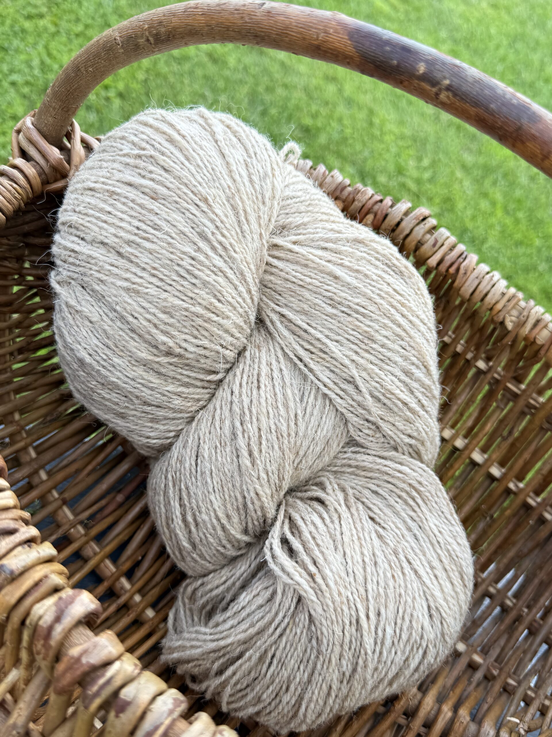 50% koera- ja 50% lambavillane lõng 1 kg – HELEKOLLANE