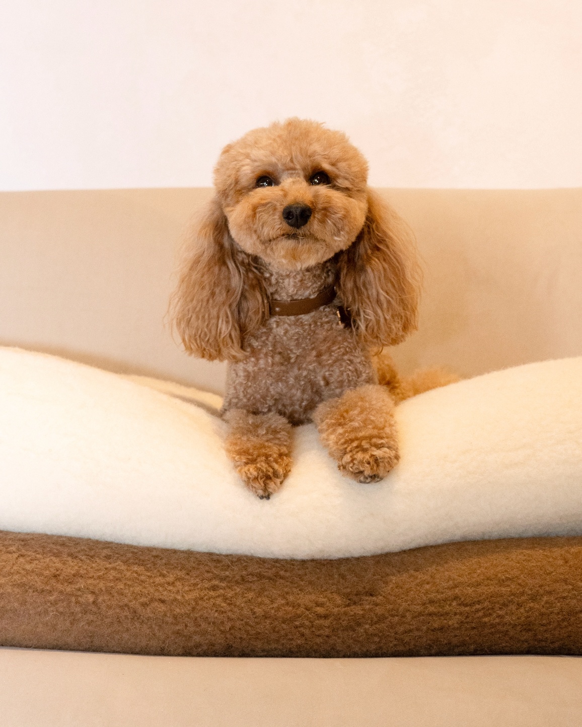 100% merinovilla kerge tekk-pleed, WoolLando