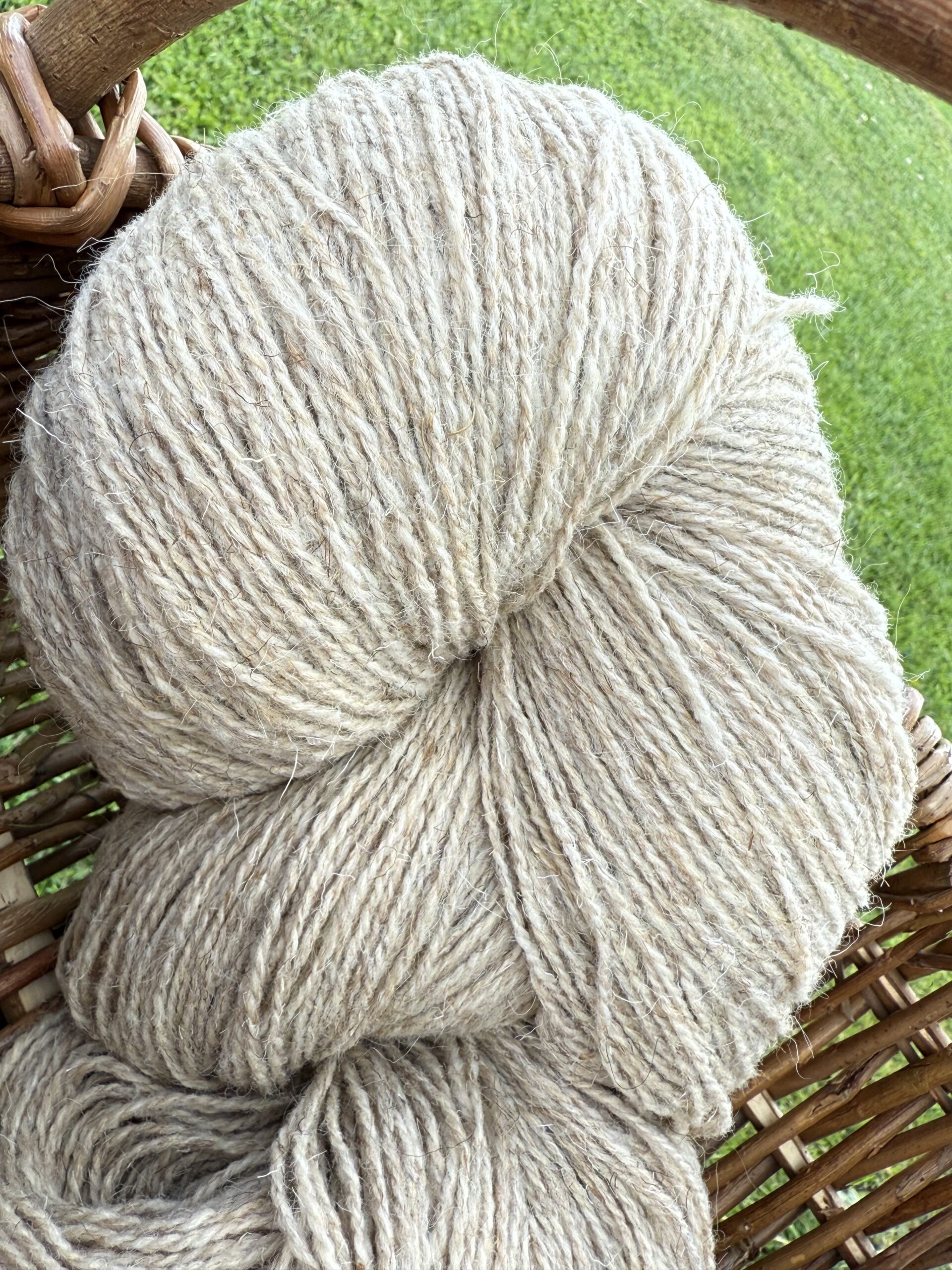 50% koera villa / 50% lambavilla lõng 1 kg – LIGHT YELLOWISH, WoolLando