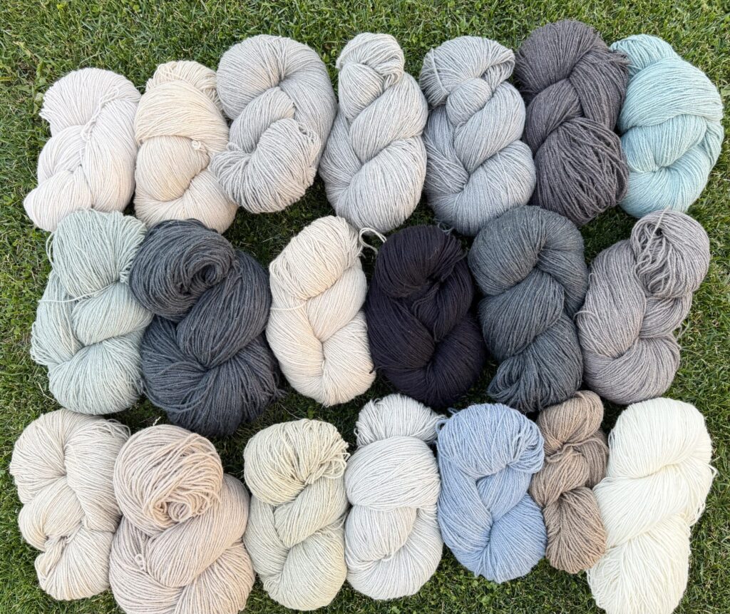 Looduslikes värvides lambavilla lõngade komplekt 10 kg, WoolLando