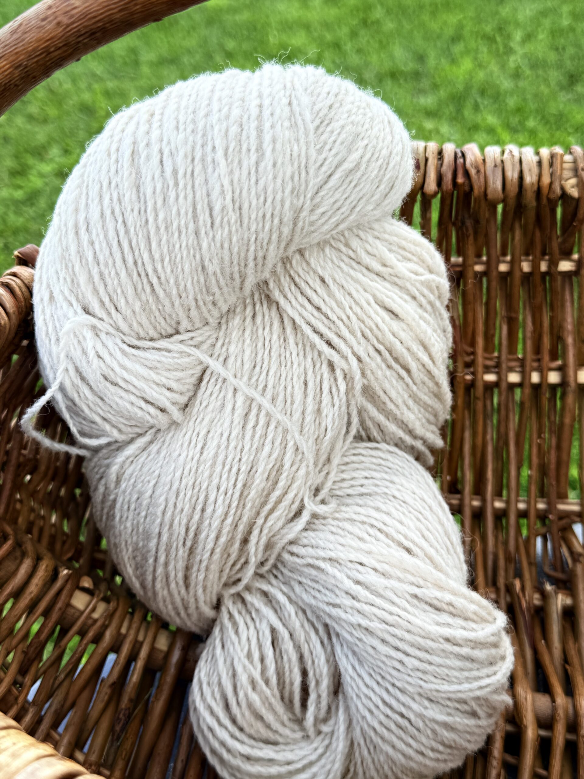 Uus-Meremaa lambavilla lõng 1 kg – YELLOWISH, WoolLando