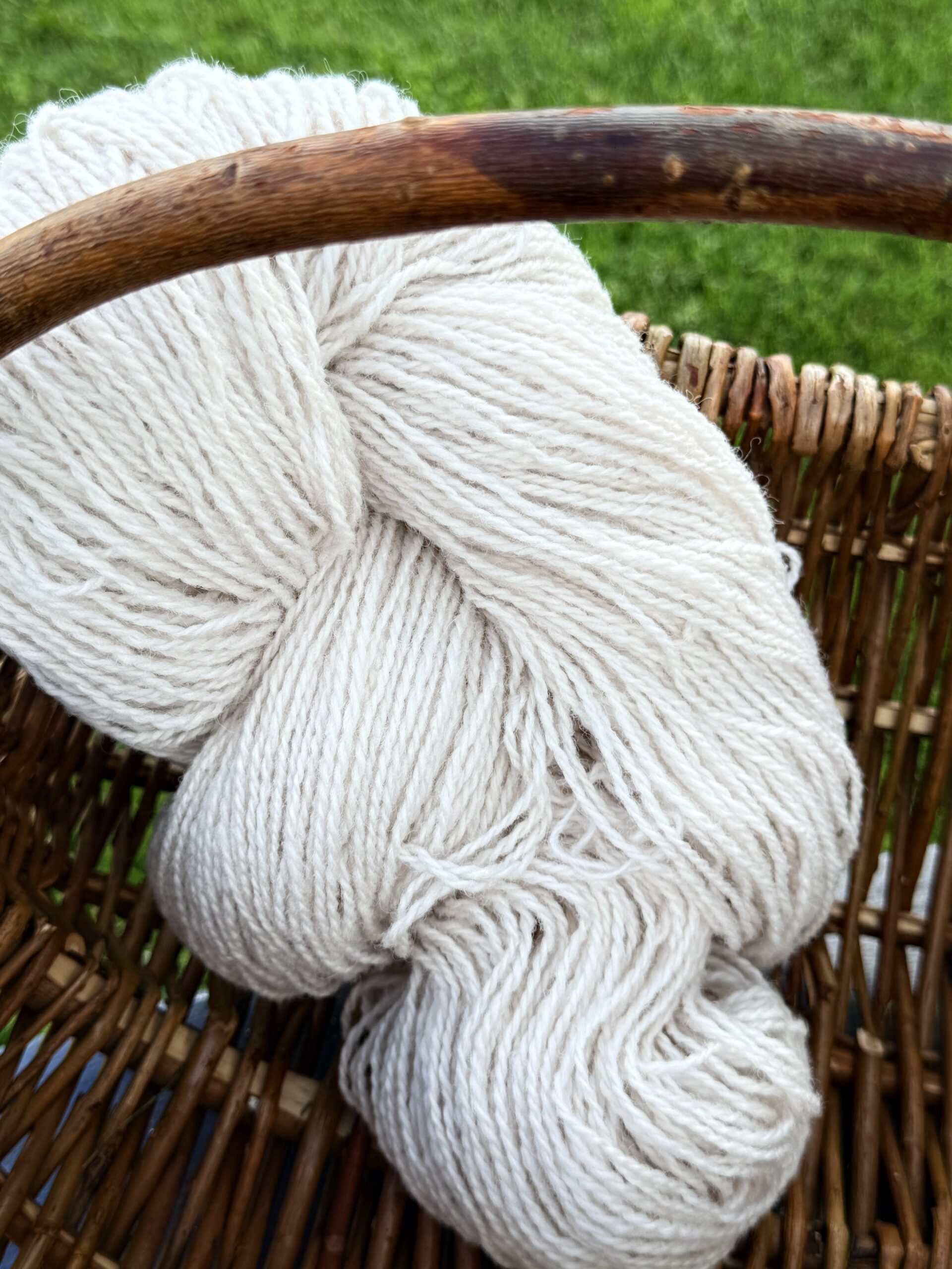 Uus-Meremaa lambavilla lõng 1 kg – CREAM, WoolLando