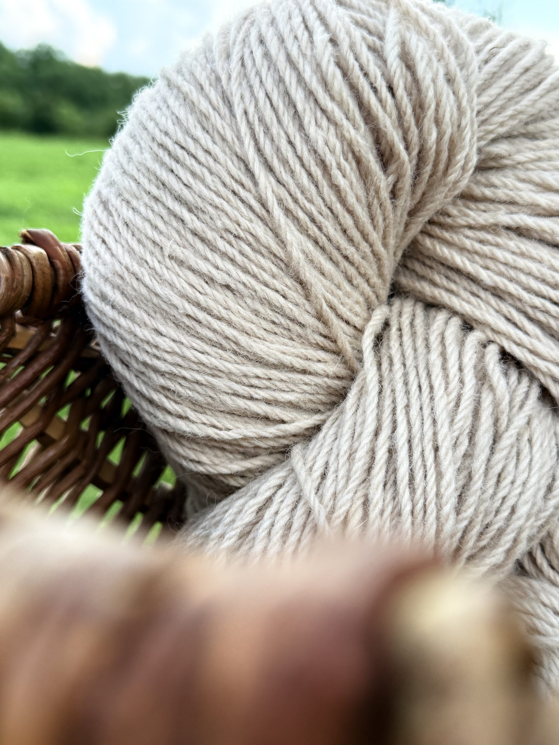 Uus-Meremaa lambavilla lõng 1 kg – LIGHT BROWN, WoolLando
