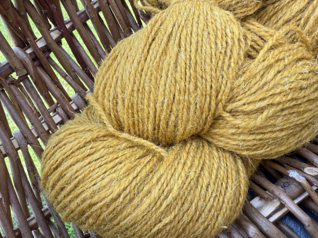 Lambavilla lõng 1 kg – MUSTARD YELLOW, WoolLando